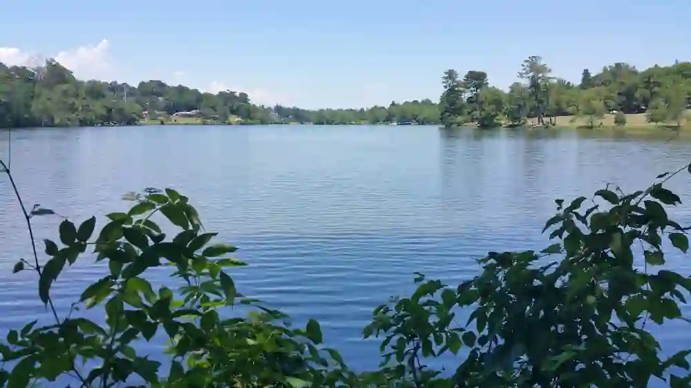 20 Romantic & Charming Asheville in Fall for Couples Spots (2025 Guide) 16 Beaver Lake Bird Sanctuary