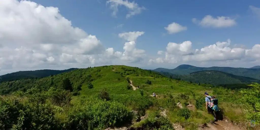 20 Romantic & Charming Asheville in Fall for Couples Spots (2025 Guide) 12 Black Balsam Knob Art Loeb Trail