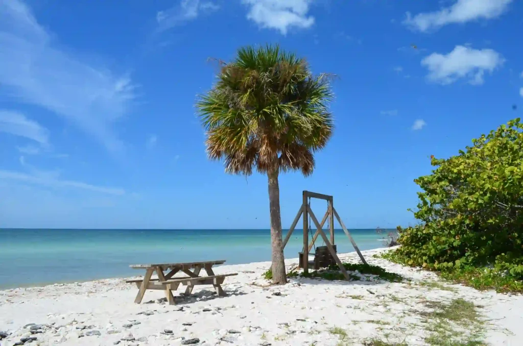 15 Dreamy Spots in Florida Gulf Coast Towns for Couples 16 Dunedins Honeymoon Island