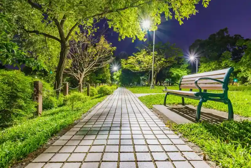 15 Best St Louis Date Ideas at Night You’ll Love 8 Forest Park Moonlit Walk or Paddle