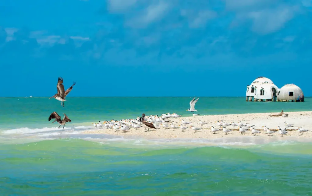 Naples vs Marco Island: Which Is Better for Couples? 4 Marco Island — Quiet Tropical Undisturbed