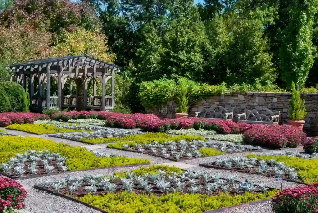 20 Romantic & Charming Asheville in Fall for Couples Spots (2025 Guide) 9 North Carolina Arboretum