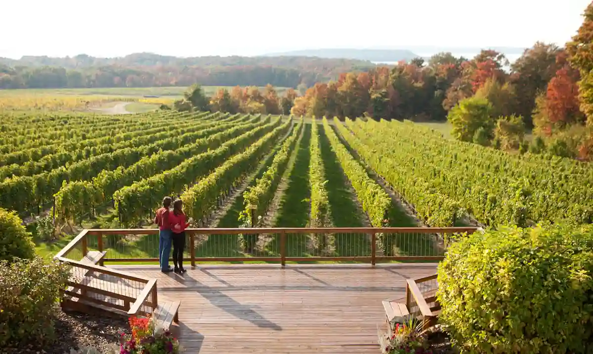 Door County vs Traverse City: Which Wins Your Heart? 4 Traverse City — Michigans Sparkling Wine Coastline