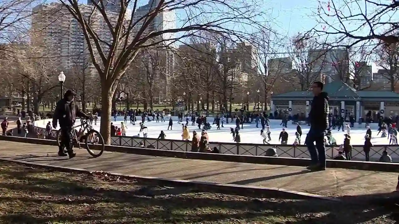 Go Ice Skating on Frog Pond