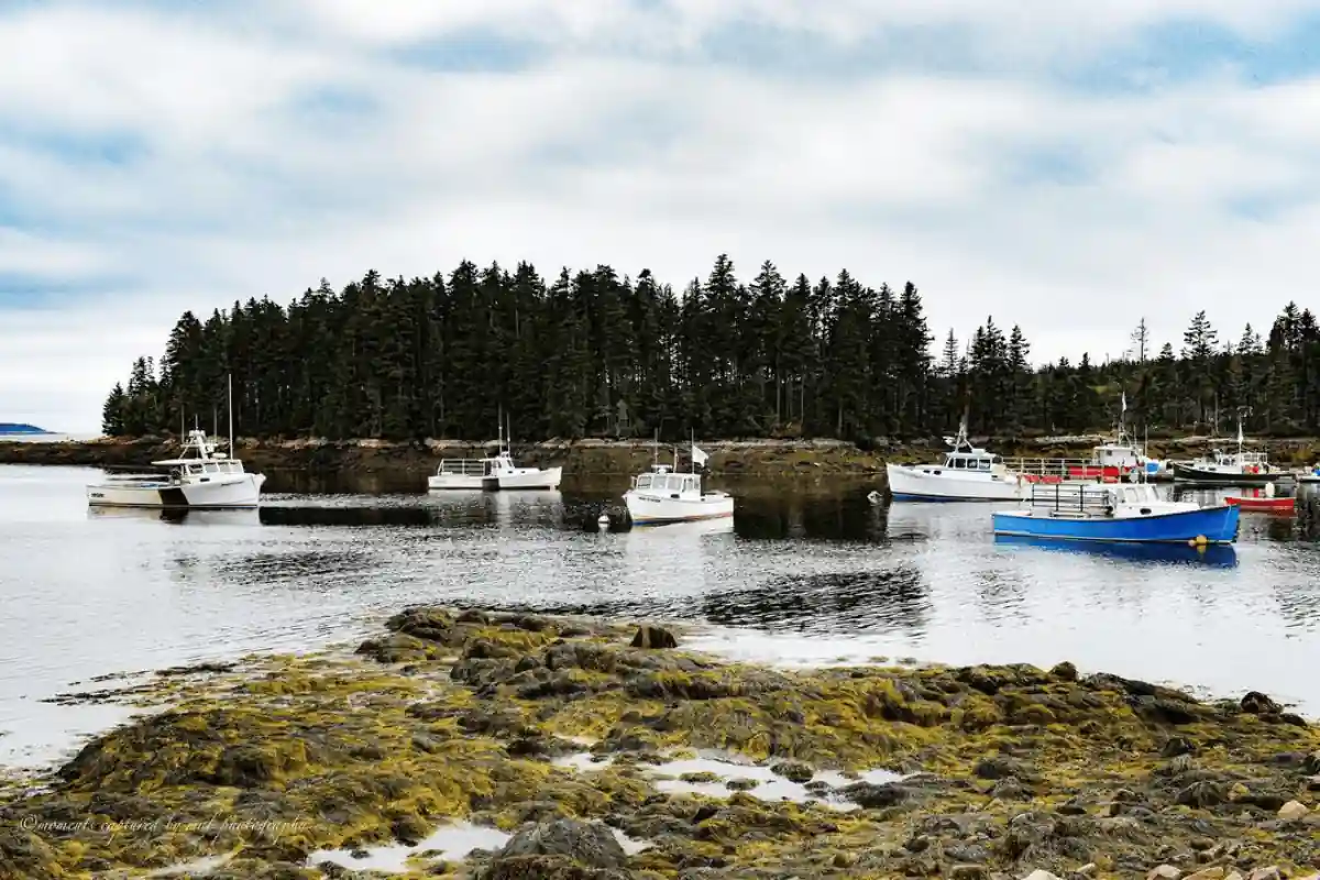 Winter Harbor