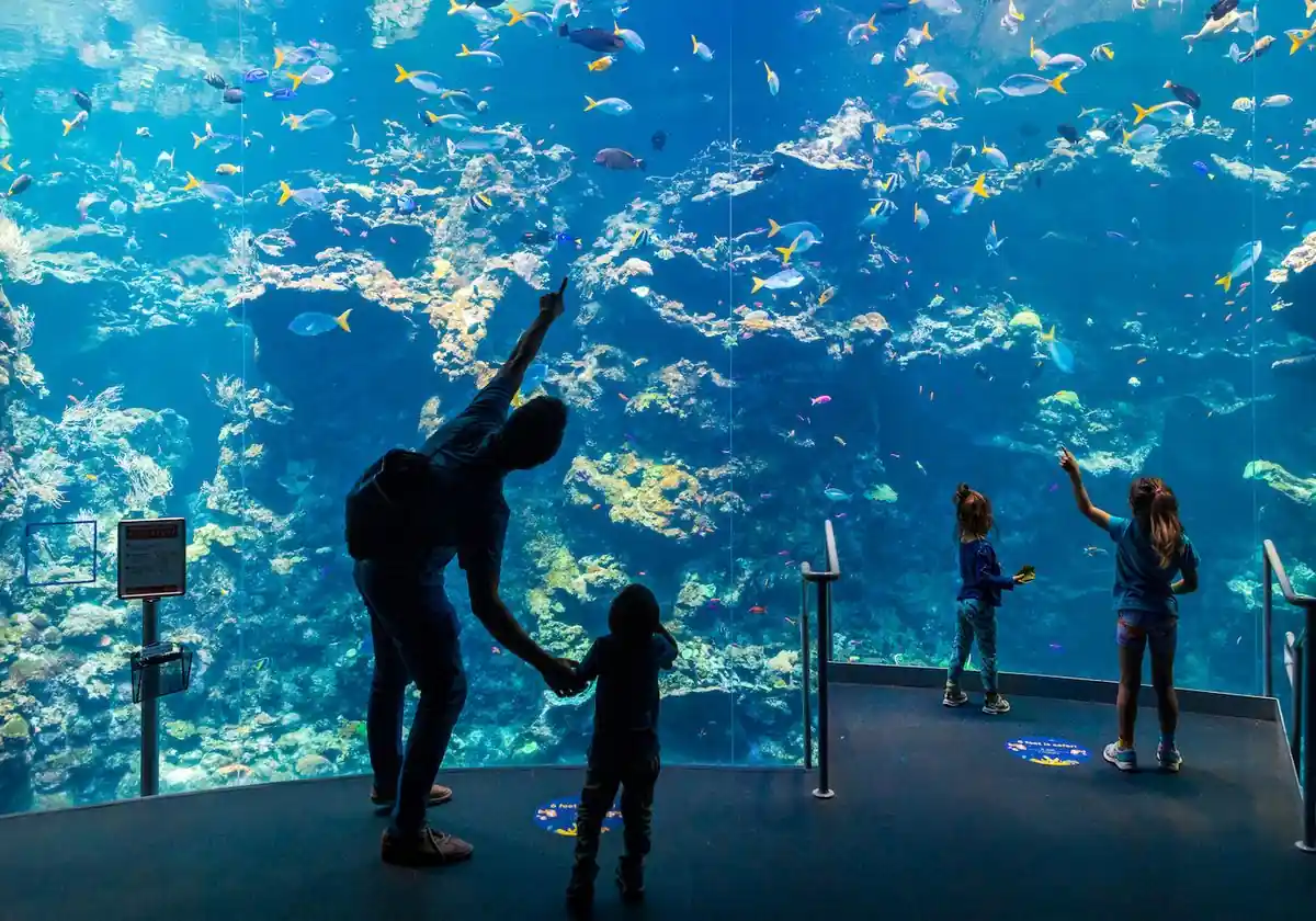 California Academy of Sciences