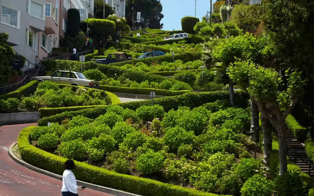 Top Things to Do in San Francisco: 10 Must-See Spots (Local Guide 2026) 6 Lombard Street