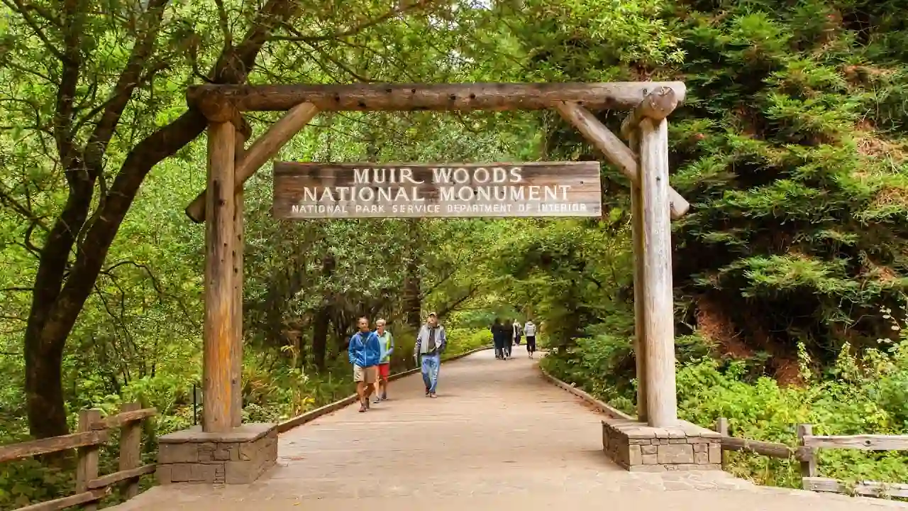 Top Things to Do in San Francisco: 10 Must-See Spots (Local Guide 2026) 11 Muir Woods National Monument