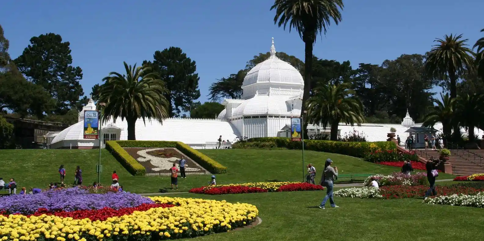 Visit the Conservatory of Flowers